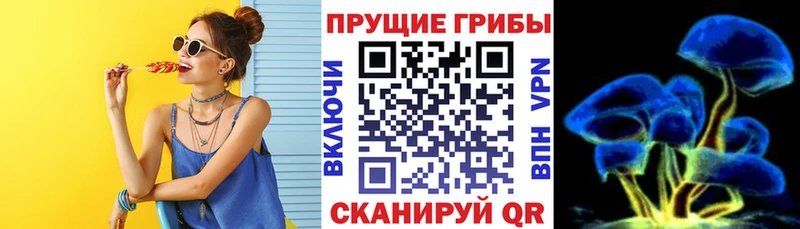 Галлюциногенные грибы прущие грибы  где продают   блэк спрут рабочий сайт  Ростов-на-Дону 