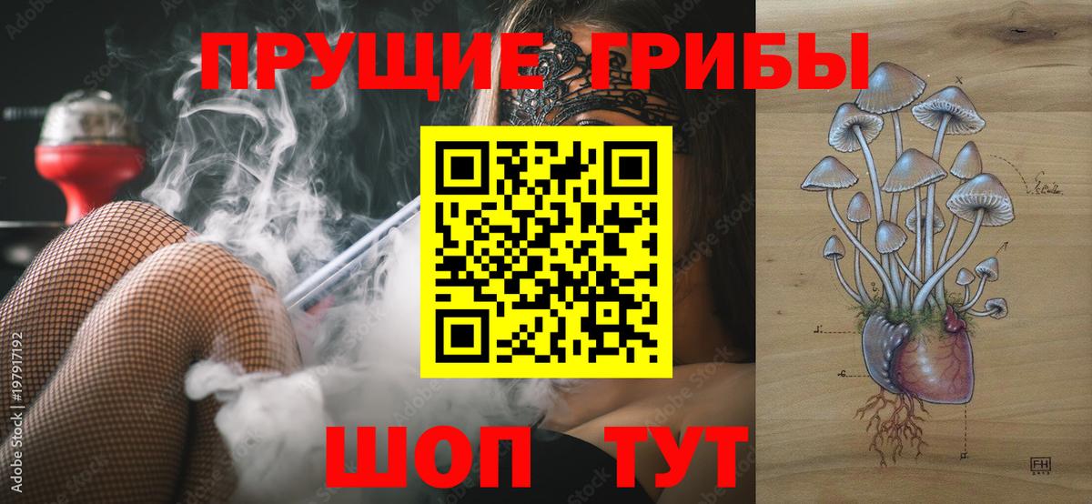 Ростов-на-Дону  Псилоцибиновые грибы Psilocybe  Вход с VPN 