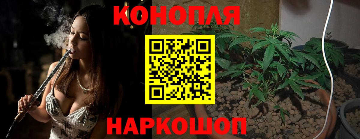 Шишки марихуана Bruce Banner Ростов-на-Дону